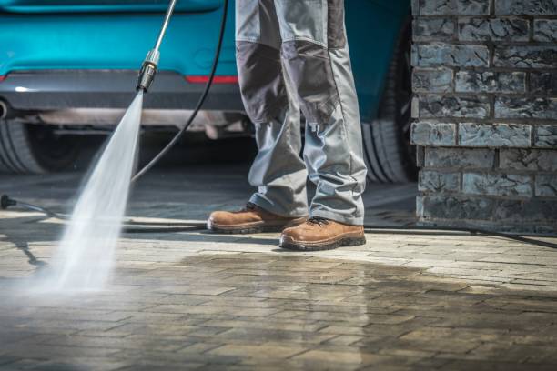 Best Oil Spill Cleanup  in La Porte, TX