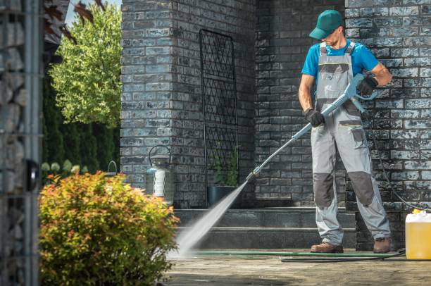 Animal Enclosure Cleaning in La Porte, TX