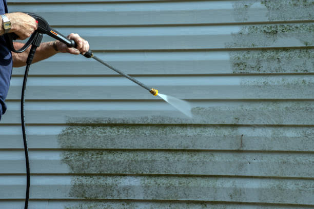 Best Driveway Pressure Washing  in La Porte, TX