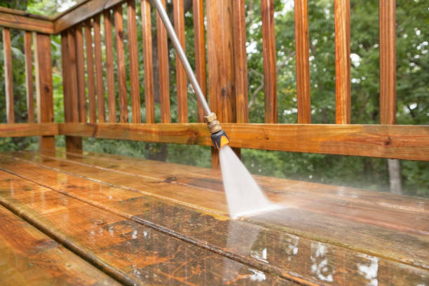 Best Residential Exterior Washing  in La Porte, TX